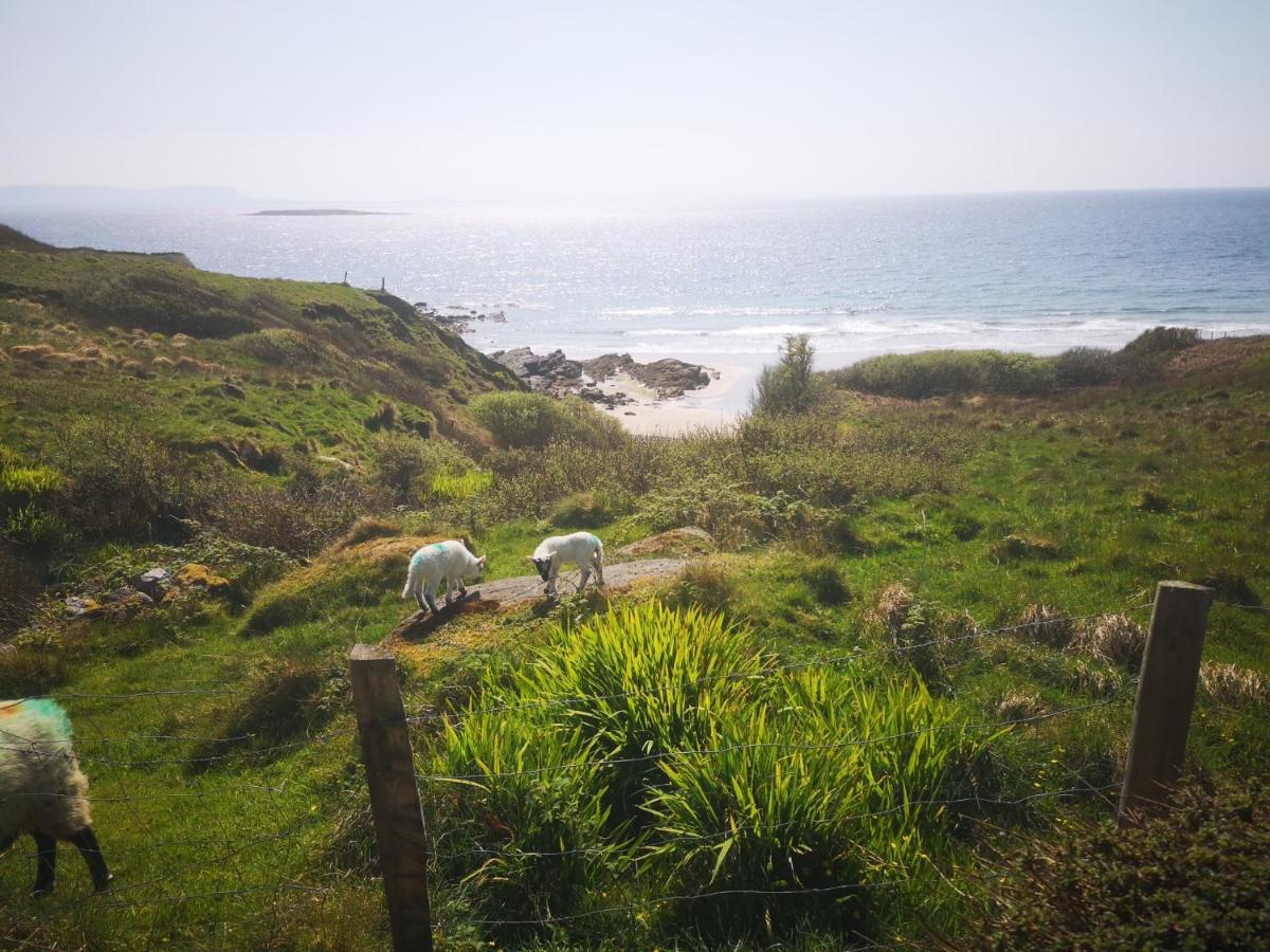 Anne'S Thatched Cottage Kilcar Exterior foto